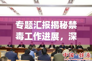 专题汇报揭秘禁毒工作进展，深化禁毒斗争，共建无毒家园