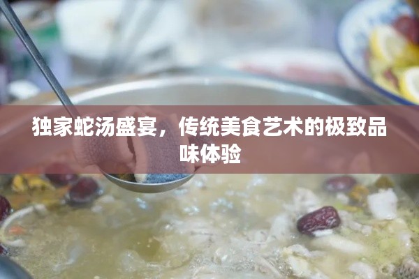 独家蛇汤盛宴，传统美食艺术的极致品味体验