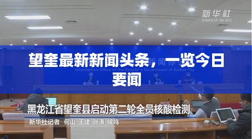 望奎最新新闻头条，一览今日要闻