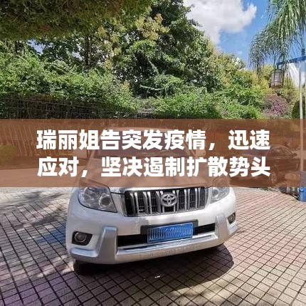 瑞丽姐告突发疫情，迅速应对，坚决遏制扩散势头