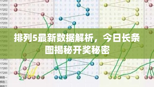 排列5最新数据解析，今日长条图揭秘开奖秘密