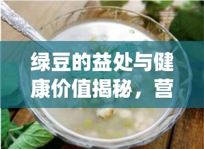 绿豆的益处与健康价值揭秘，营养丰富的绿豆竟有这些功效！