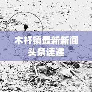 木杆镇最新新闻头条速递
