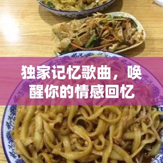 独家记忆歌曲，唤醒你的情感回忆！