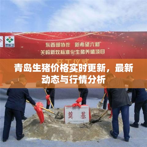 纲举目张