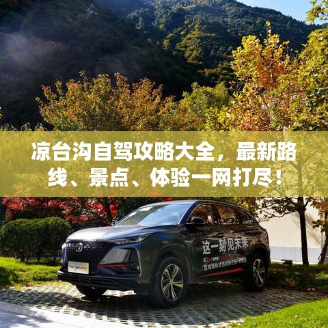 凉台沟自驾攻略大全,最新路线、景点、体验一网打尽!