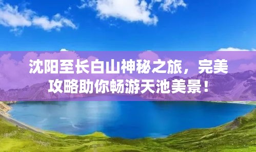 沈阳至长白山神秘之旅，完美攻略助你畅游天池美景！