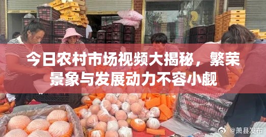 今日农村市场视频大揭秘，繁荣景象与发展动力不容小觑