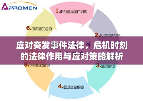 应对突发事件法律，危机时刻的法律作用与应对策略解析
