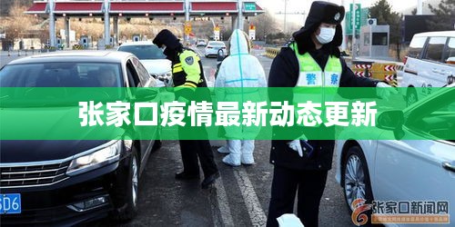 张家口疫情最新动态更新
