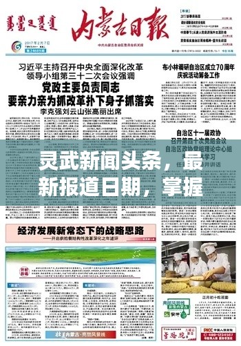 灵武新闻头条，最新报道日期，掌握一手资讯（XX年XX月XX日）